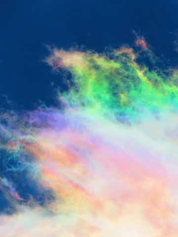 第5回N1  皇帝になる