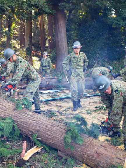 警衛隊 解説