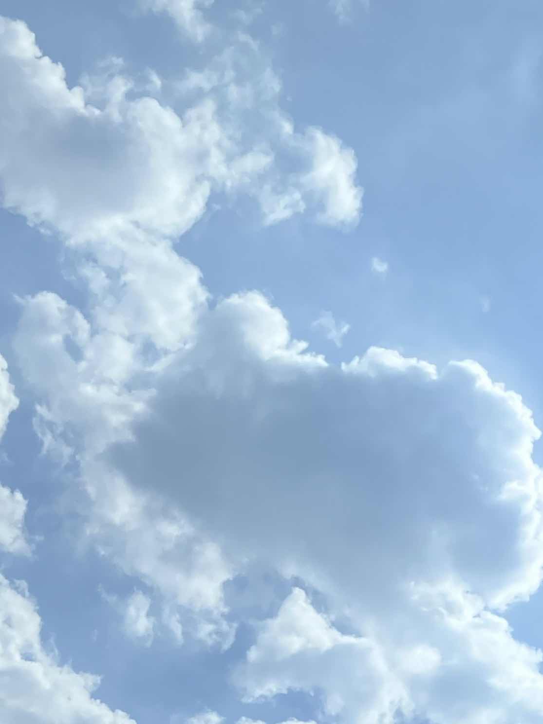 笑って嗤って