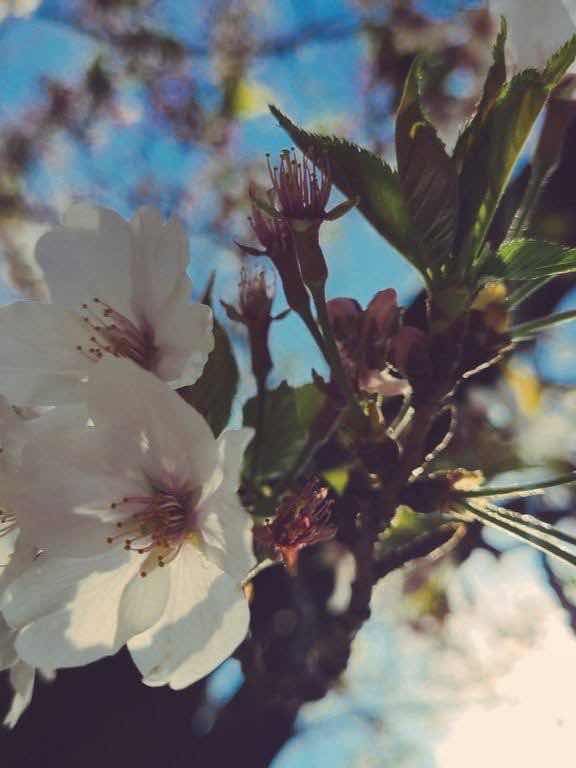 春人という名の