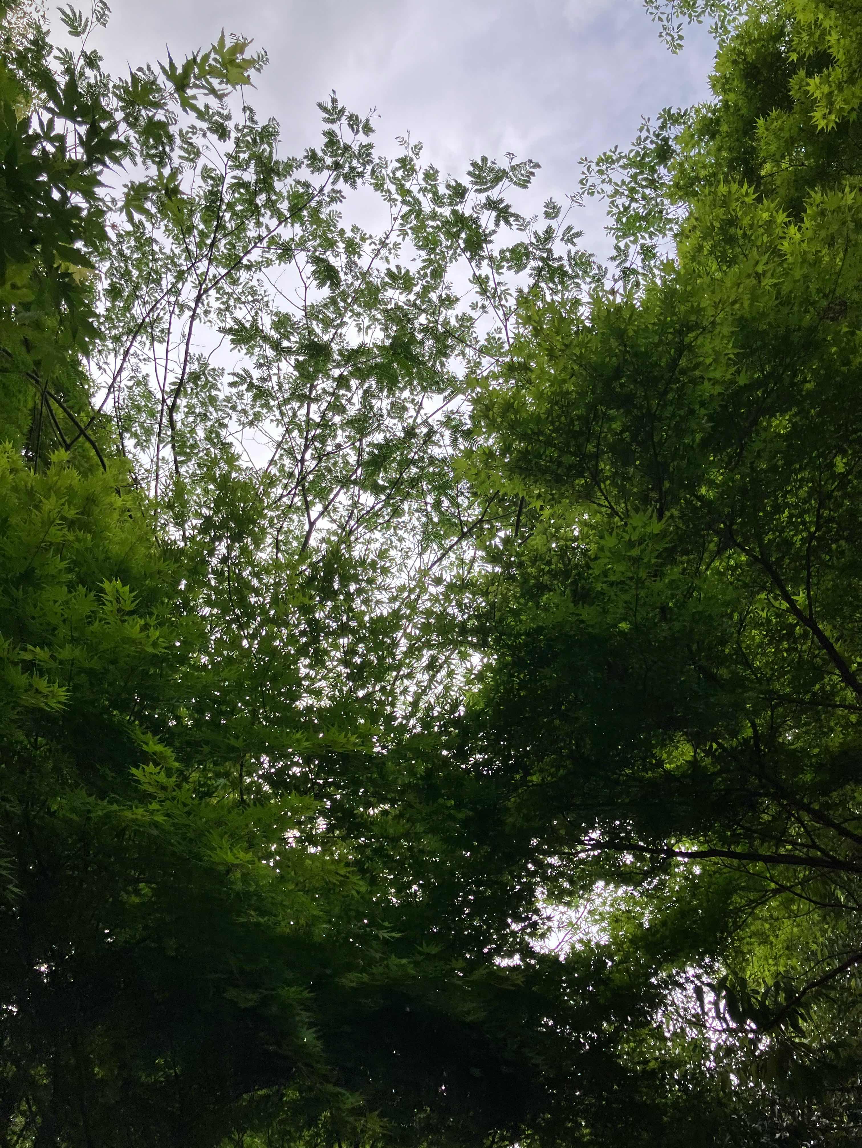 あの日の夏の青空