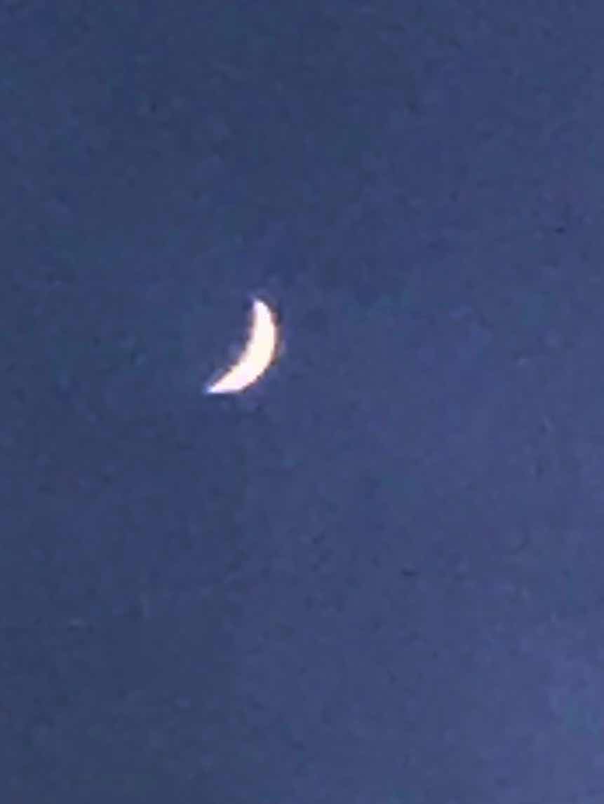 在りし日の桜は椿を想う番外編