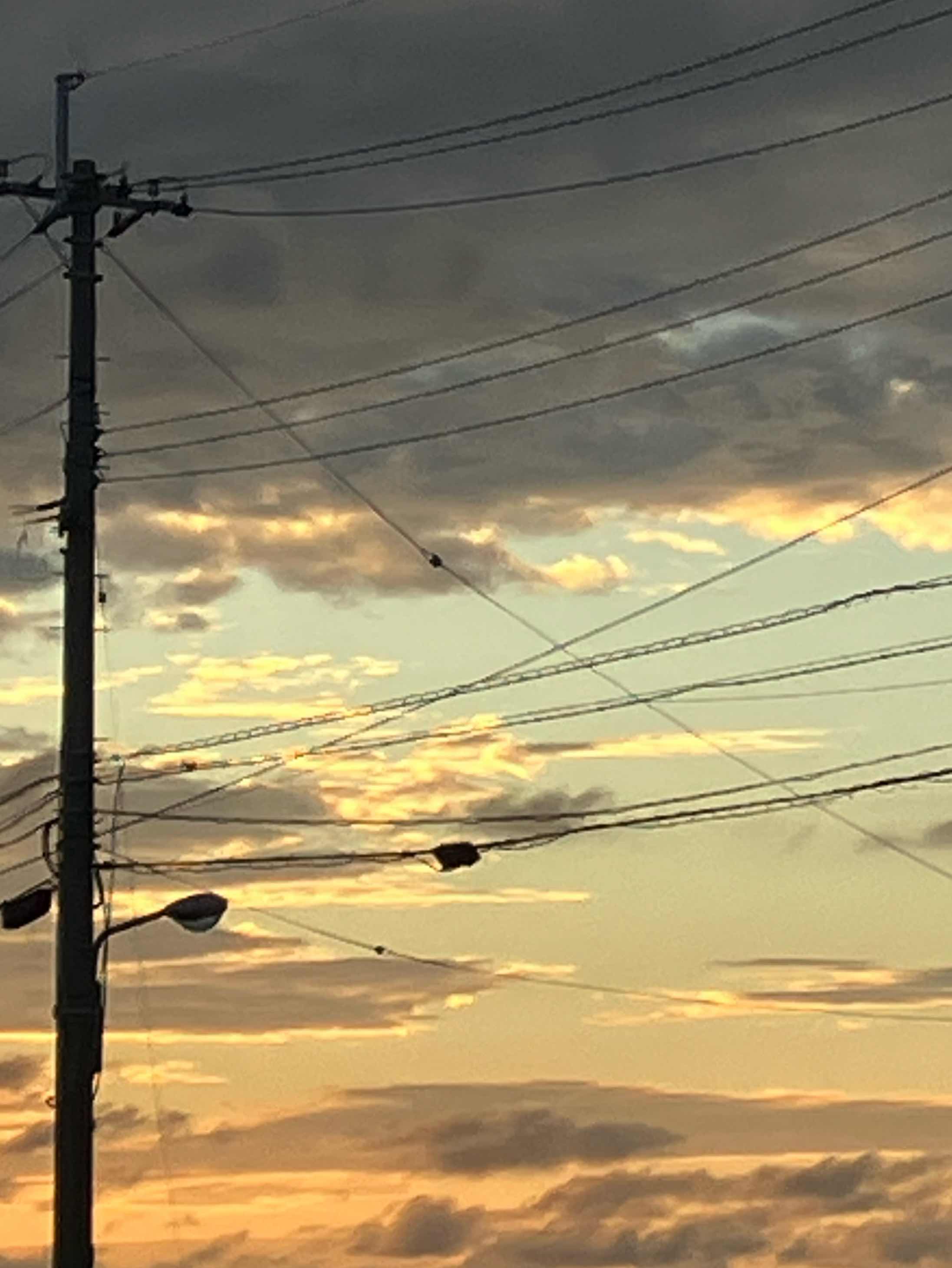 あなたのことが、好きです。