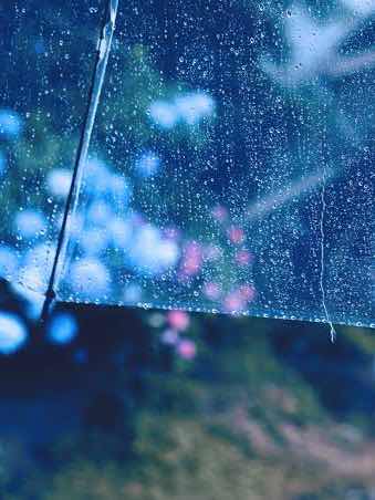 やさしい雨音