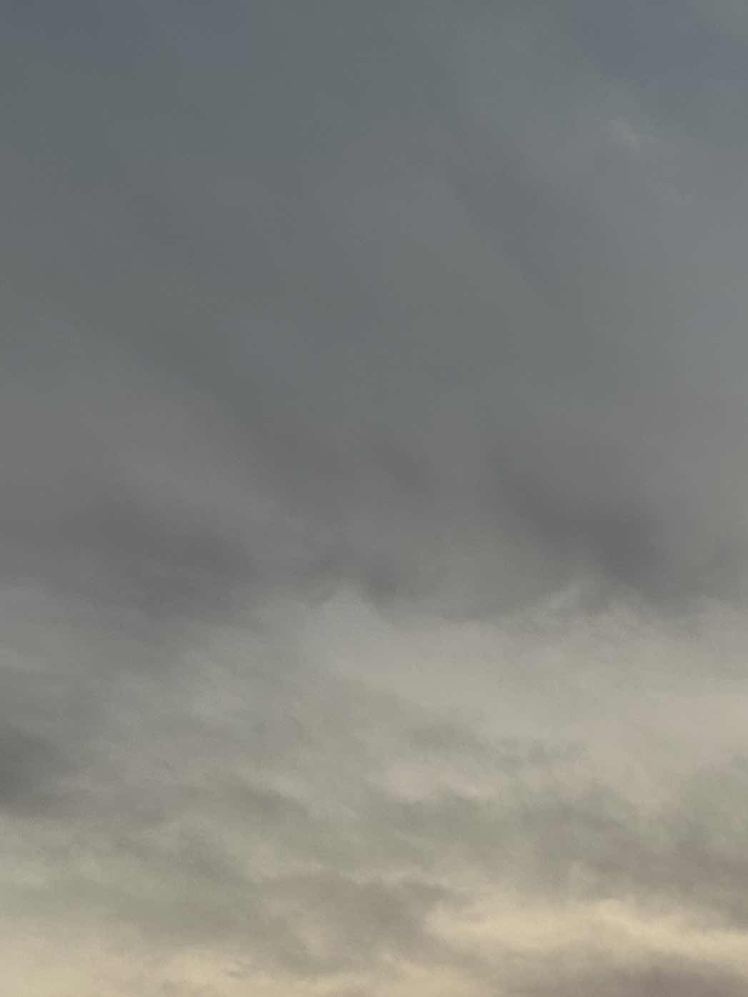 11話 2人目 12話 夏休み ♯顔面も学力も最強エリート高校での生活は癖ありです。。