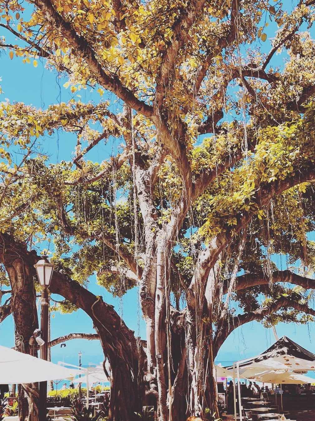 Part season2 ❹全てを手に入れるまで。　　【絹子の場合】　完結