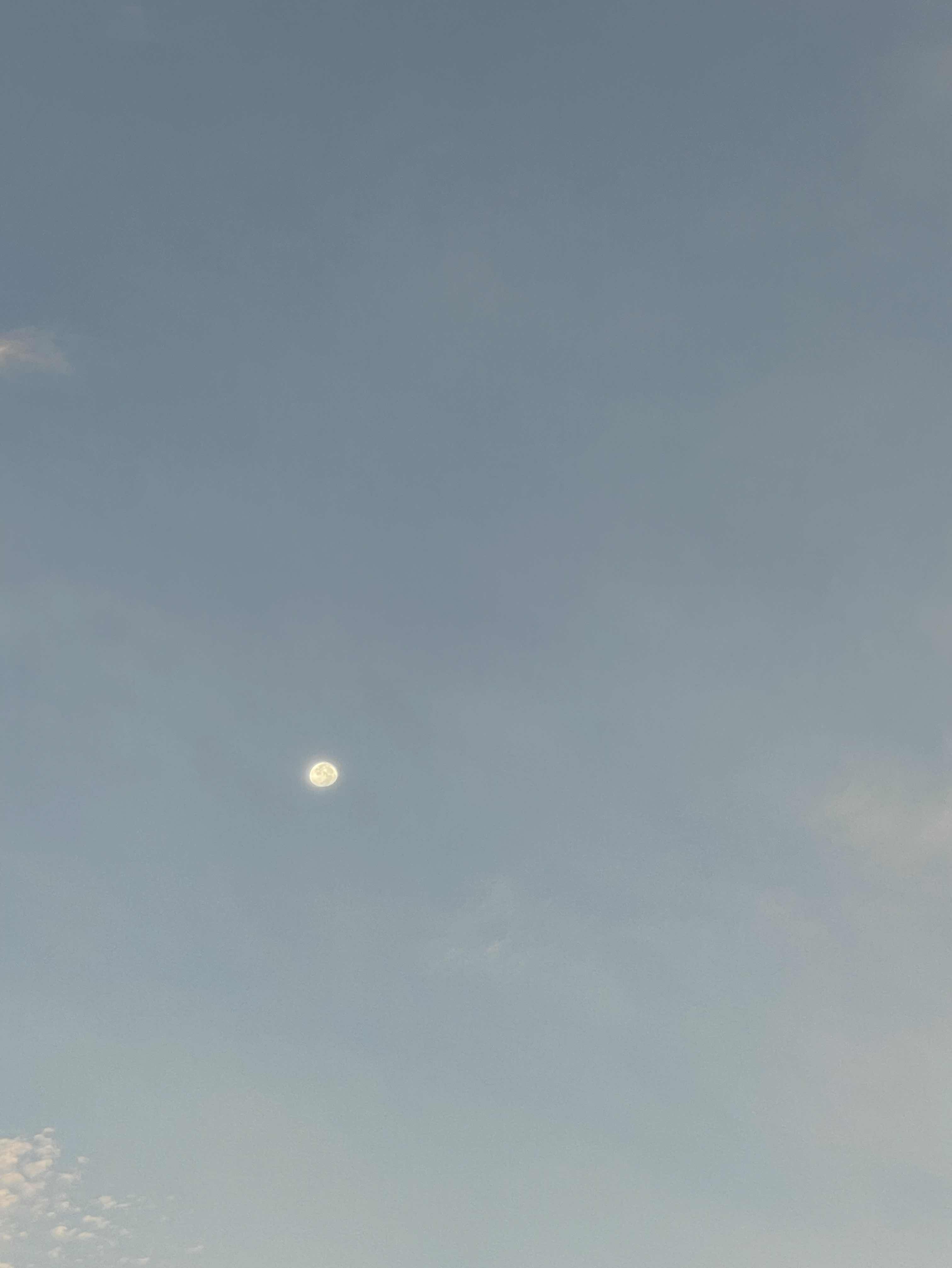 長生きできますように