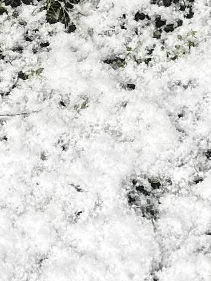 きょうの日はさようなら