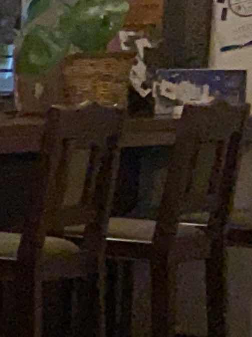 カナブン