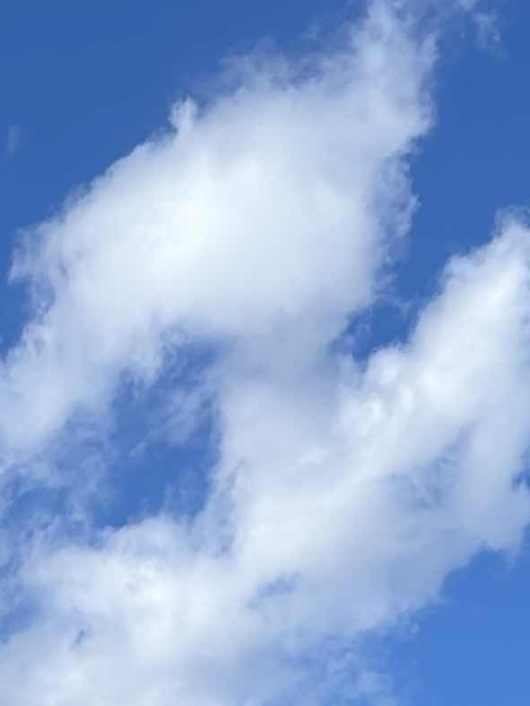 9話 噂 10話ストーカー #顔面も学力も最強エリート高校での生活は癖ありです。。