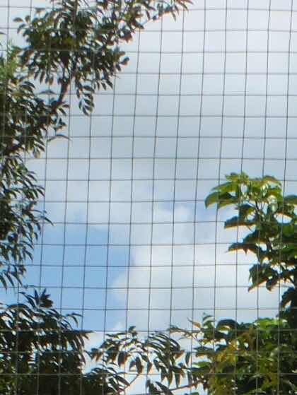 「じゃあどうすればよかったんだろうね」