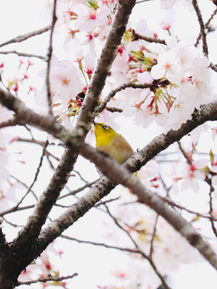 書き直したい作品について