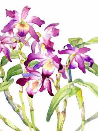 「私は妹と◯◯してしまった」