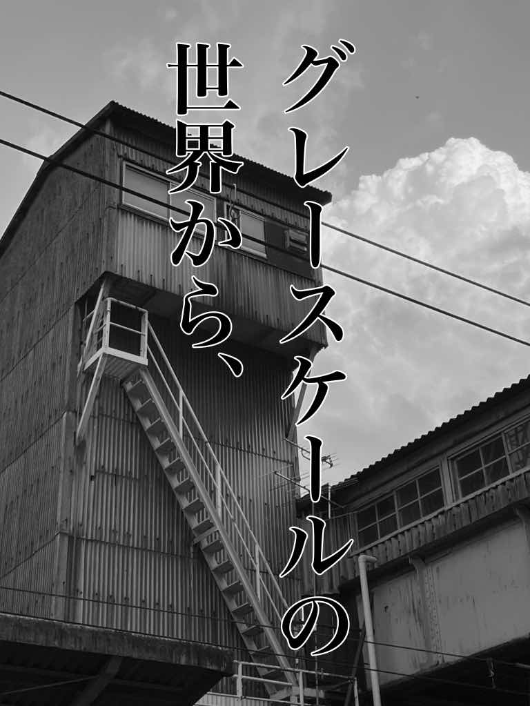 「第3回N1」グレースケールの世界から、