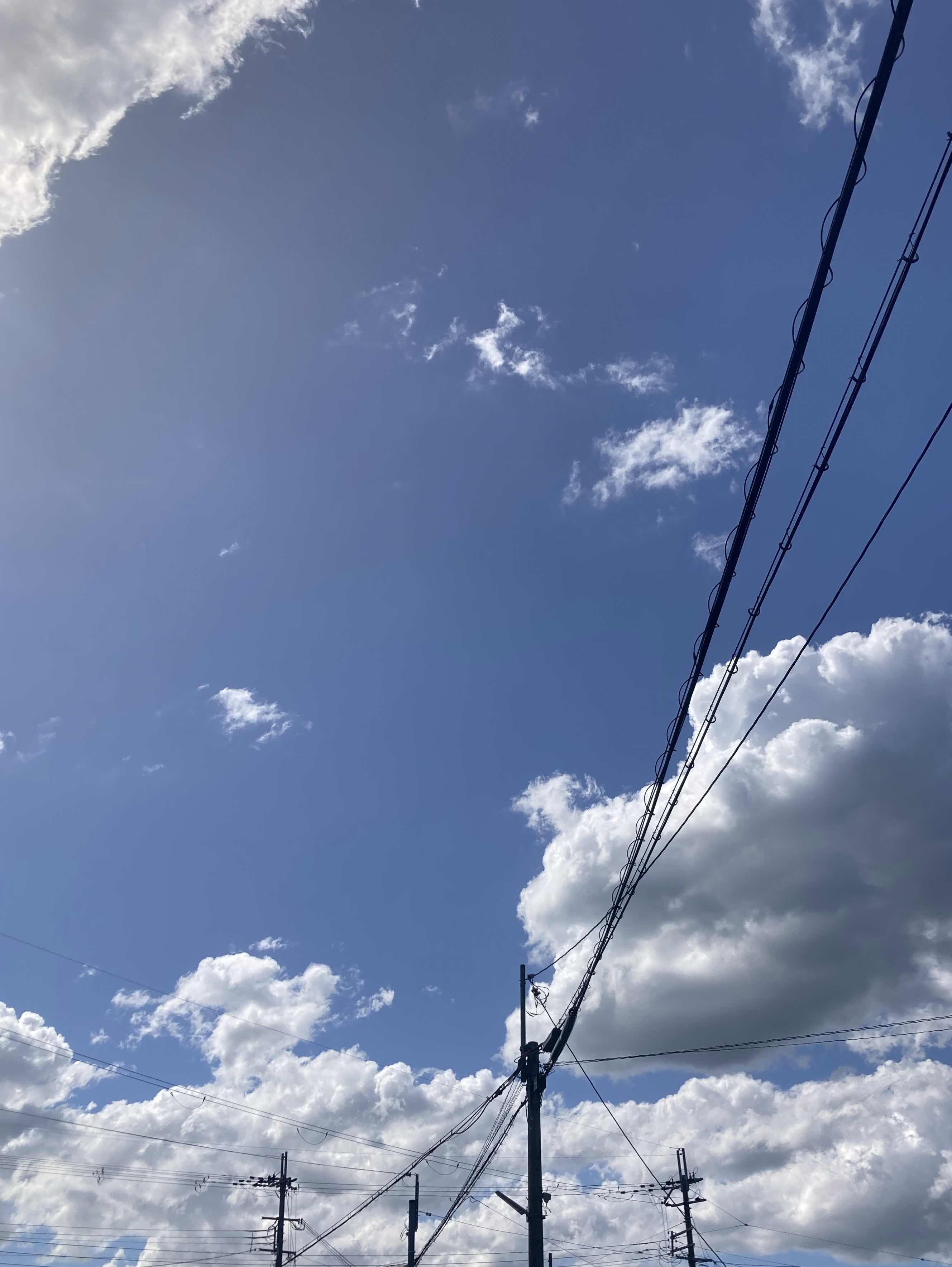 揺蕩う夏の浜の青