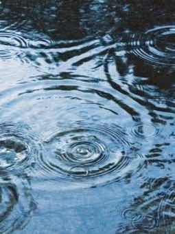 ガシャガシャ音