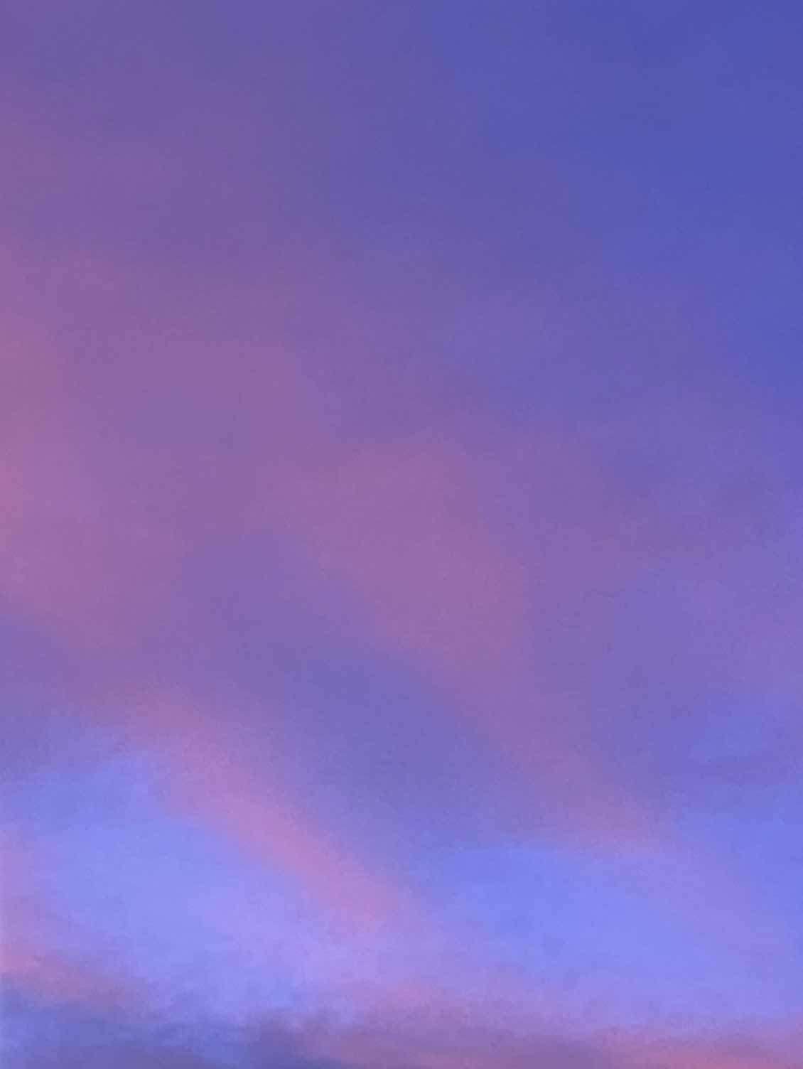 彼岸花よりも蚕よりも醜い君