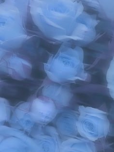 あと少しだけ早ければ