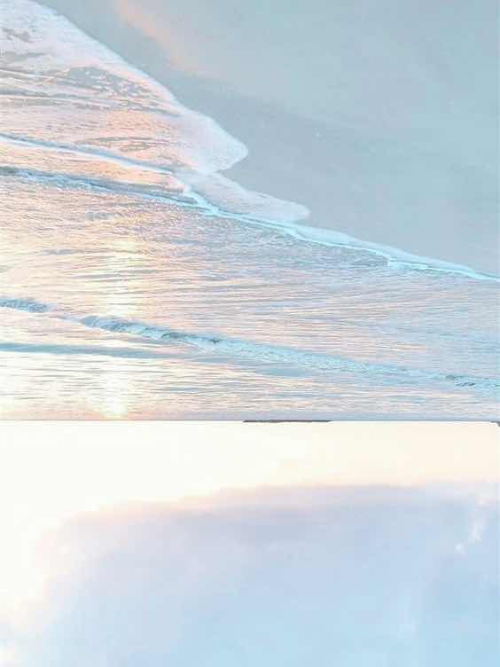 「ありがとう」と「ごめんね」がいえるひと。