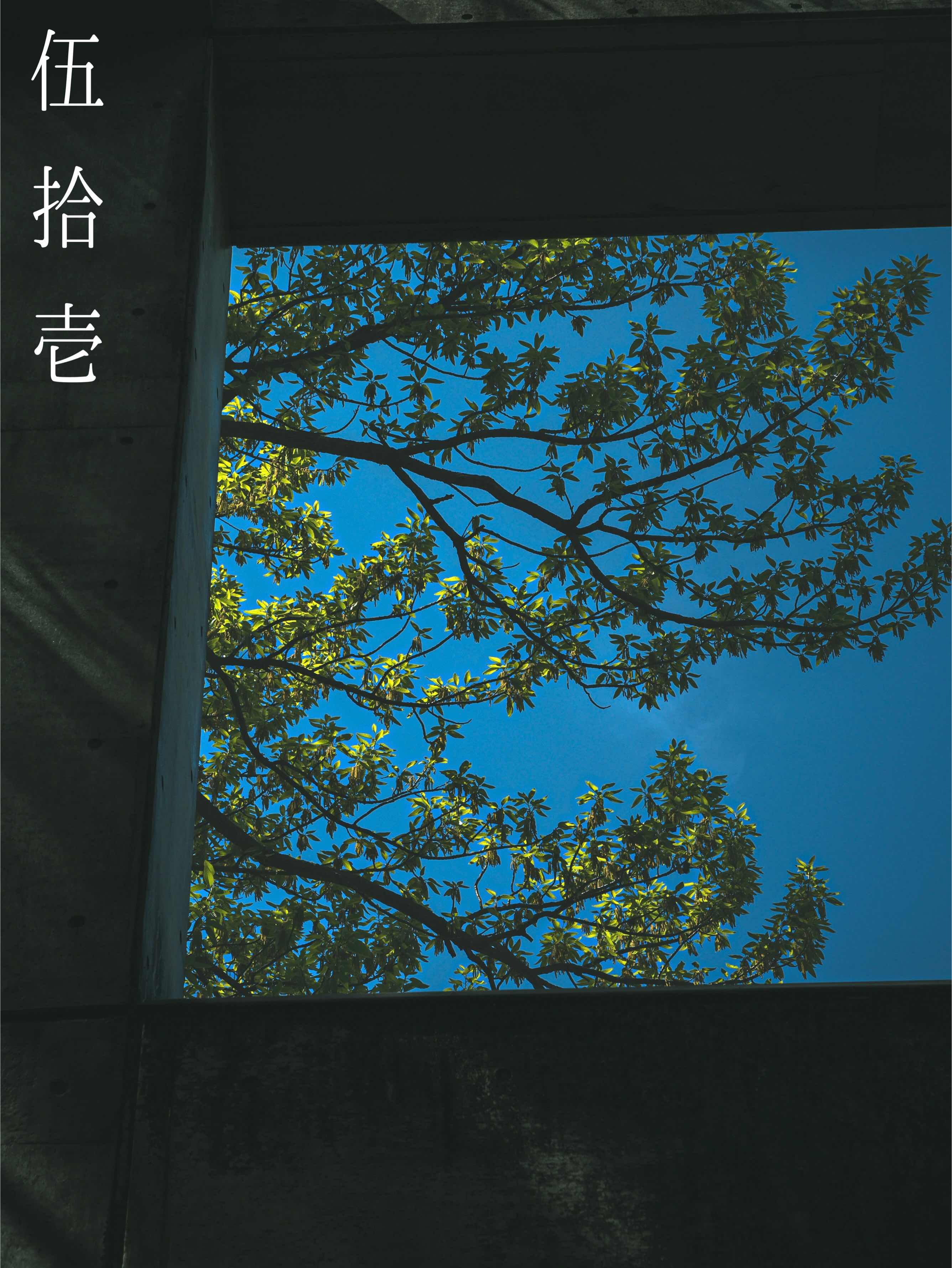 百卌字奇譚　伍拾壱