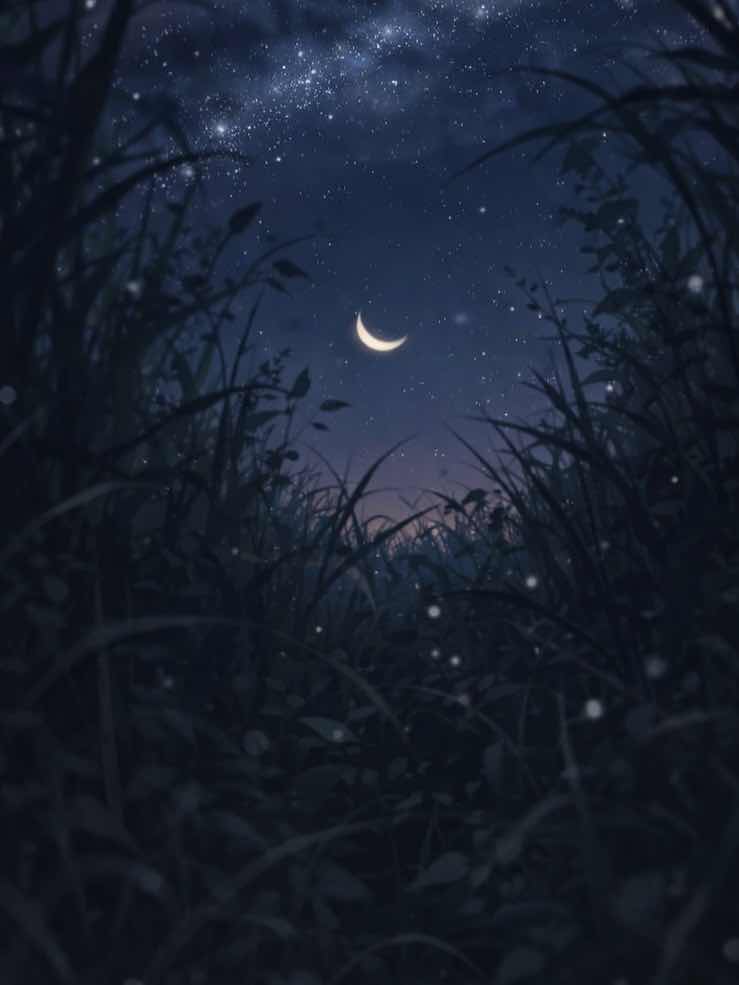 ⒈泣くことを許された場所