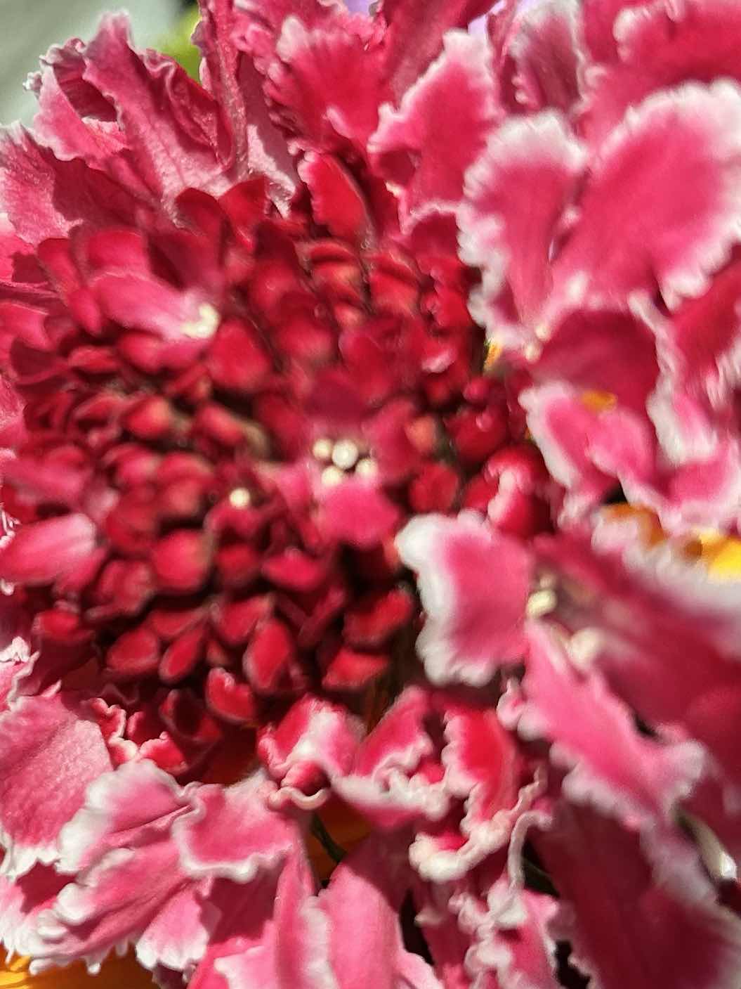 第1回NSS引き金を引いて