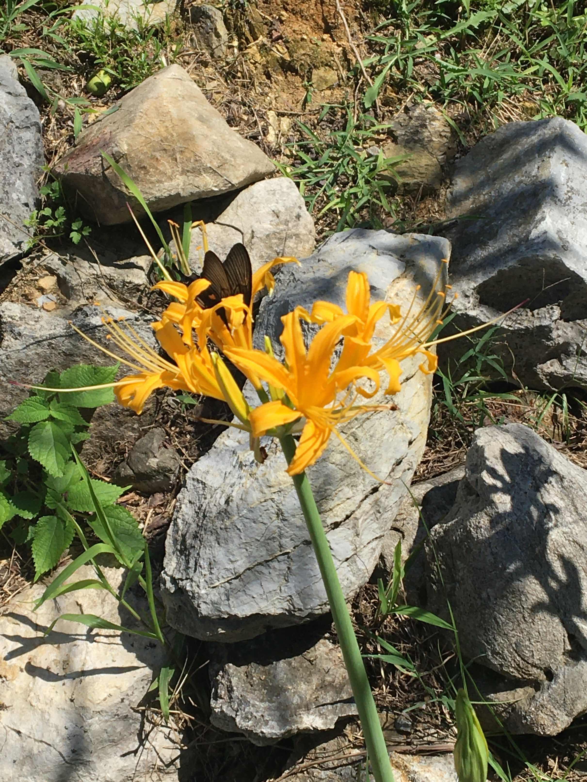 追憶の旅へと立つ−忘れた再開−