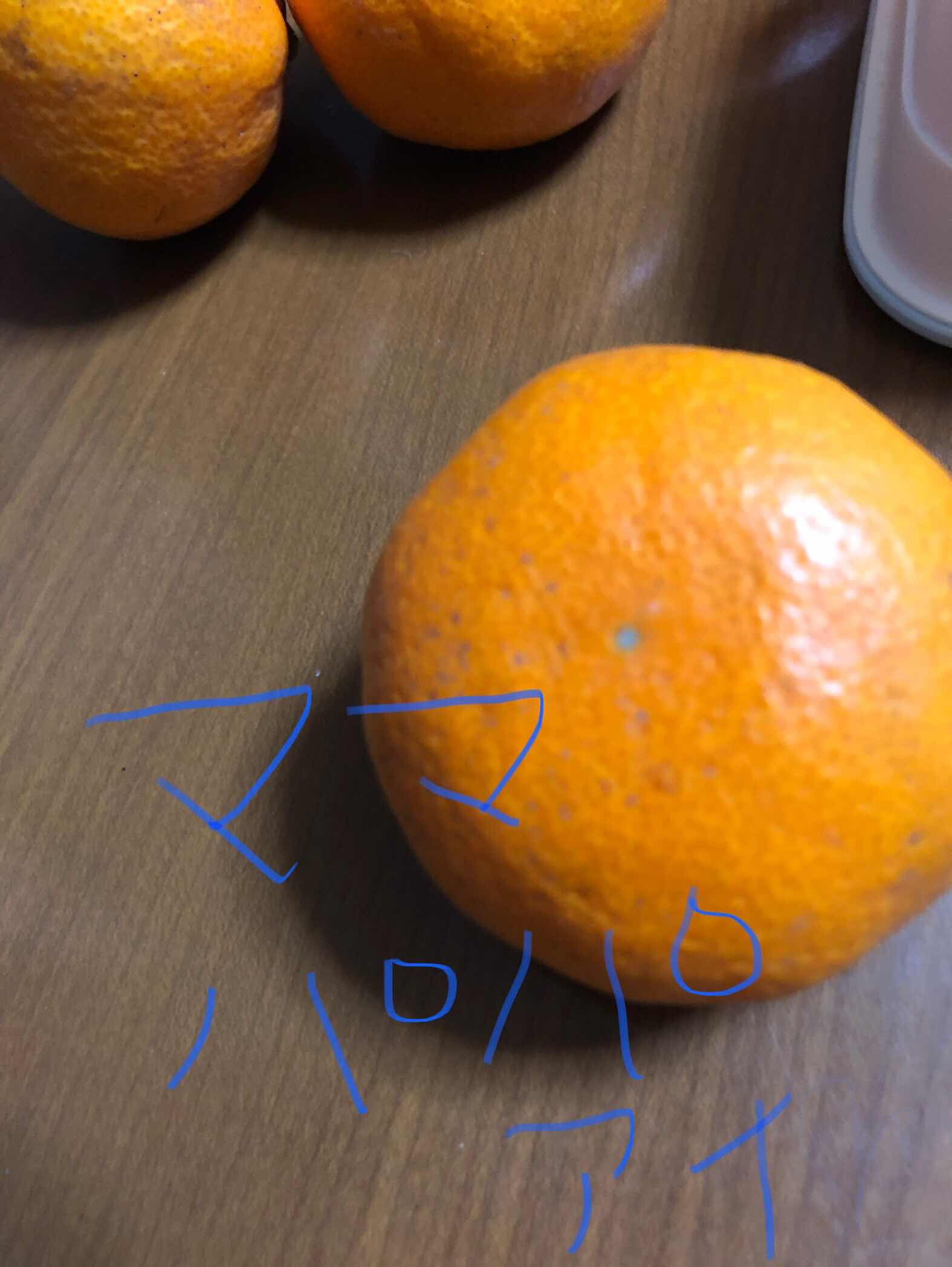 父、母の愛とは一体、なんだ⁉️