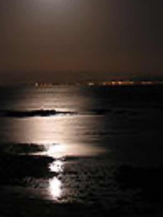 大好きだった貴方へ