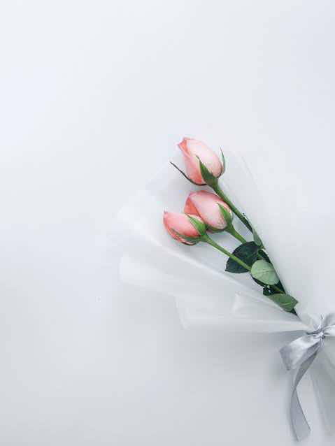 お久しぶり＆X開設のお知らせ