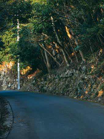 遠くへ行きたい？