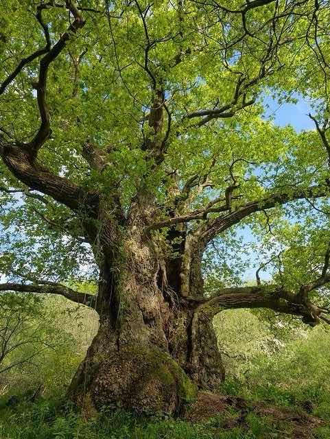 有形無形の経験値