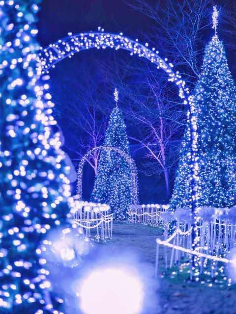 温かい灯りの帰り道