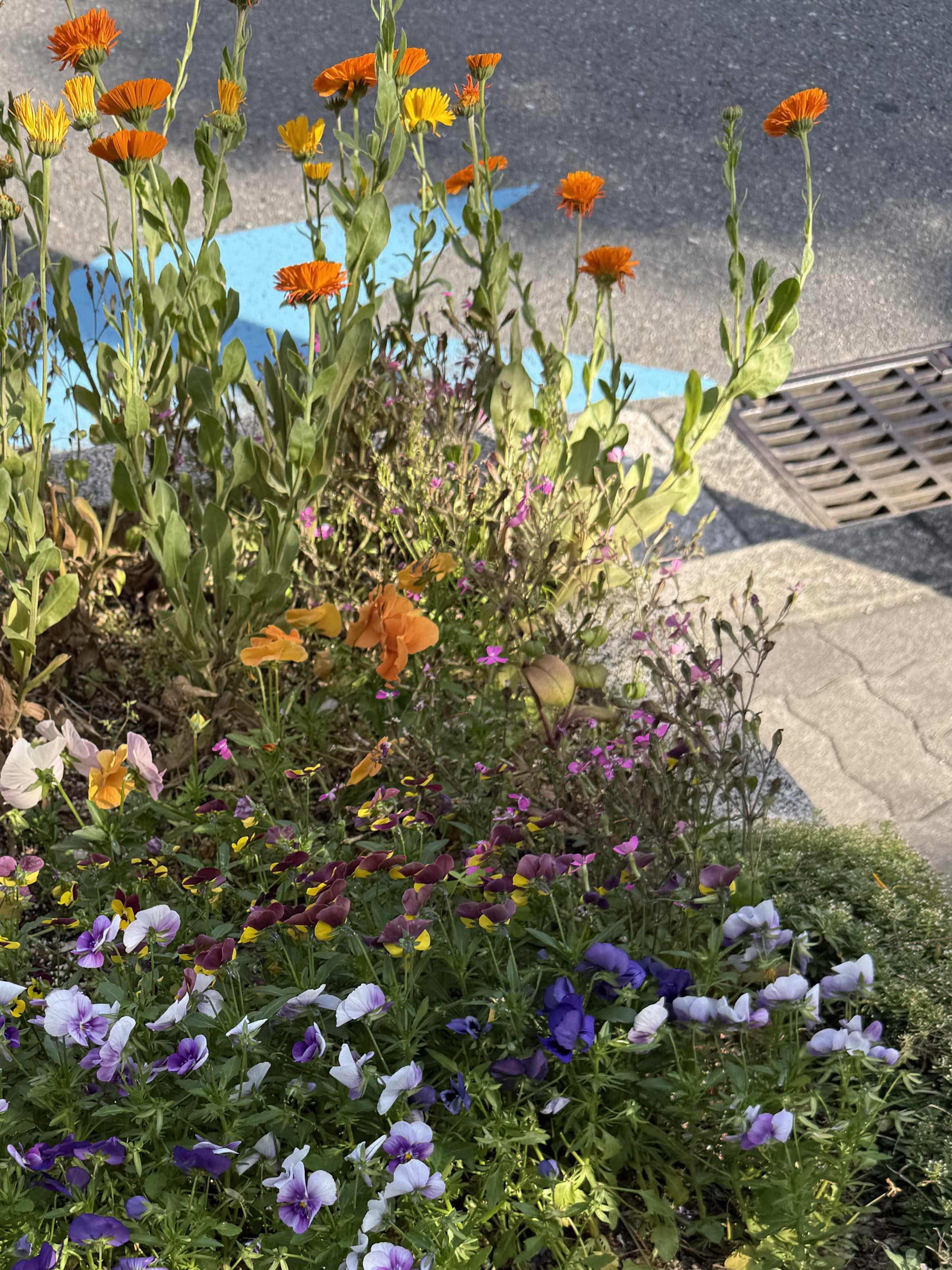 大人になりきれないわたし