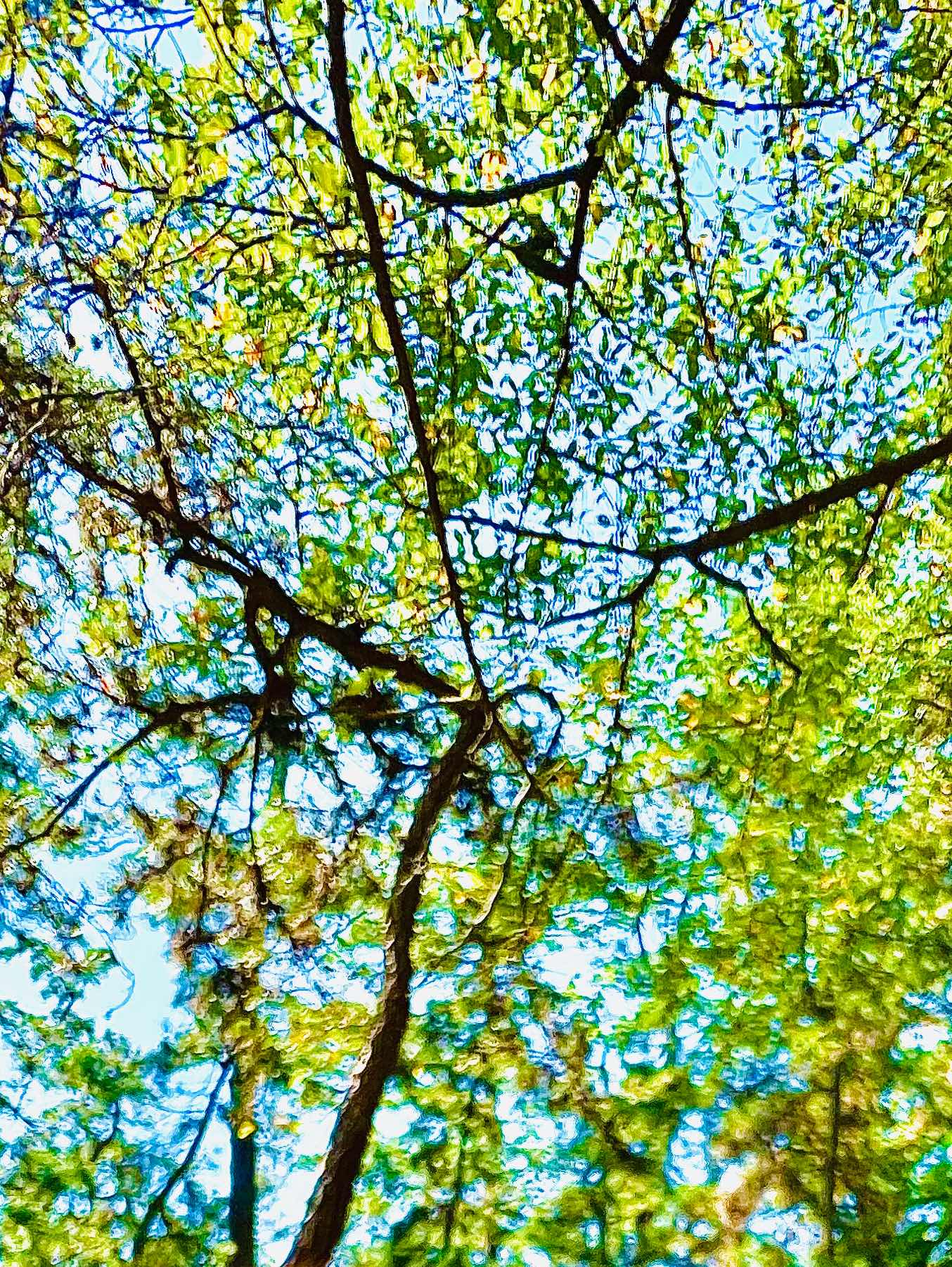 演目『いじめ』