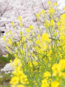女装だなんて気づかない！