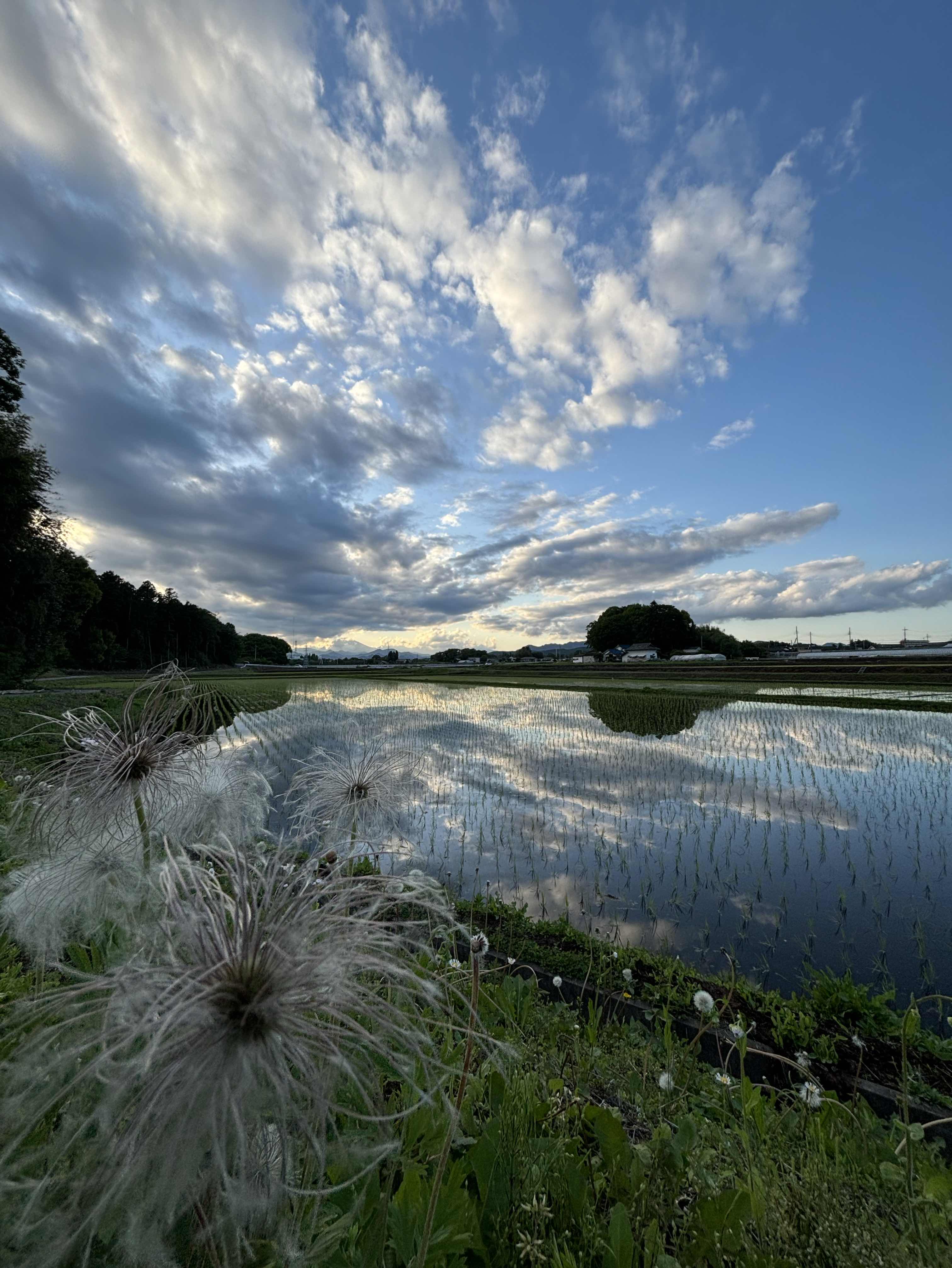 命（い）きる。１匹、１人、５分の命