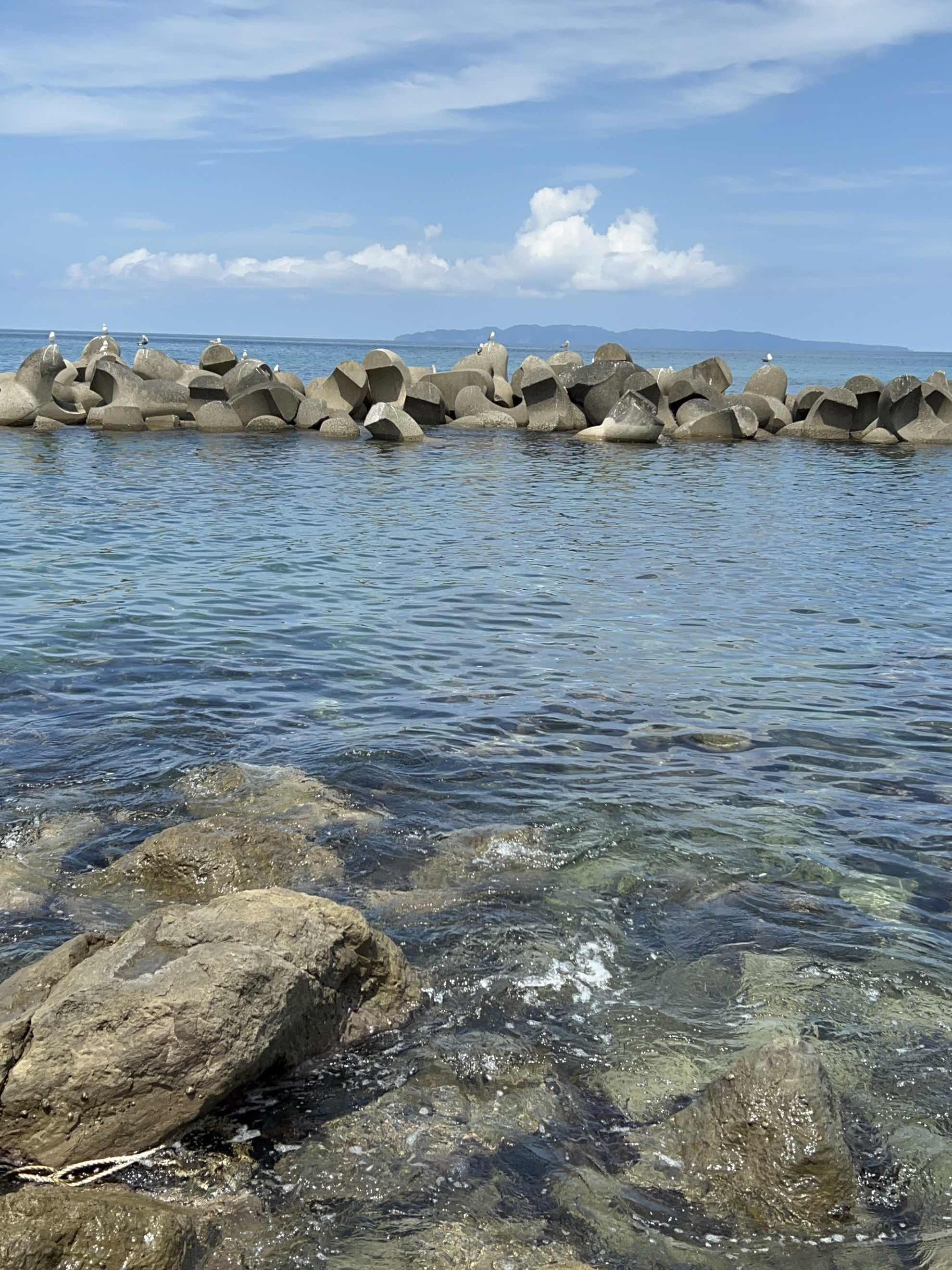 この人生を決めたのは本当に私なのか…