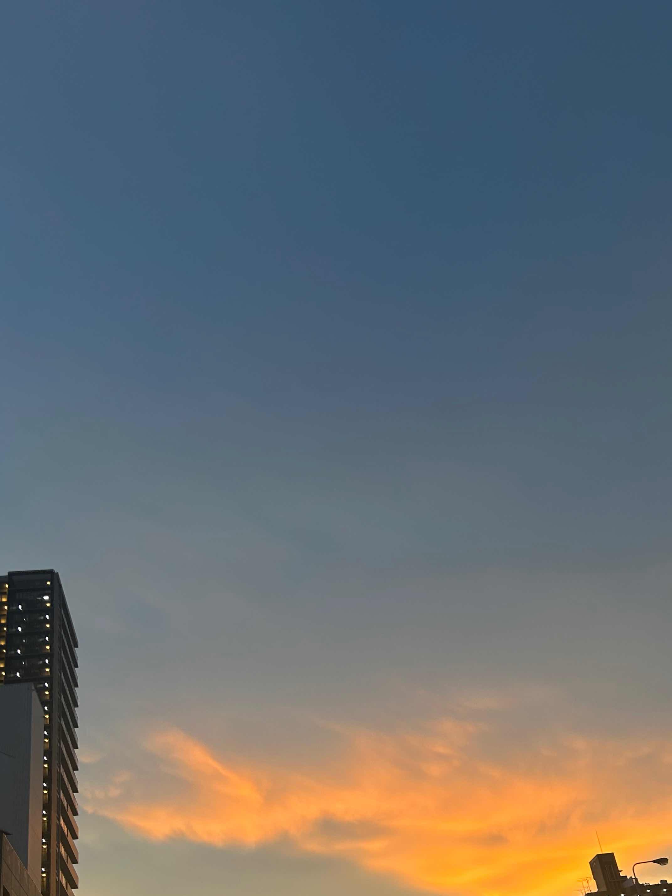 はじめまして。