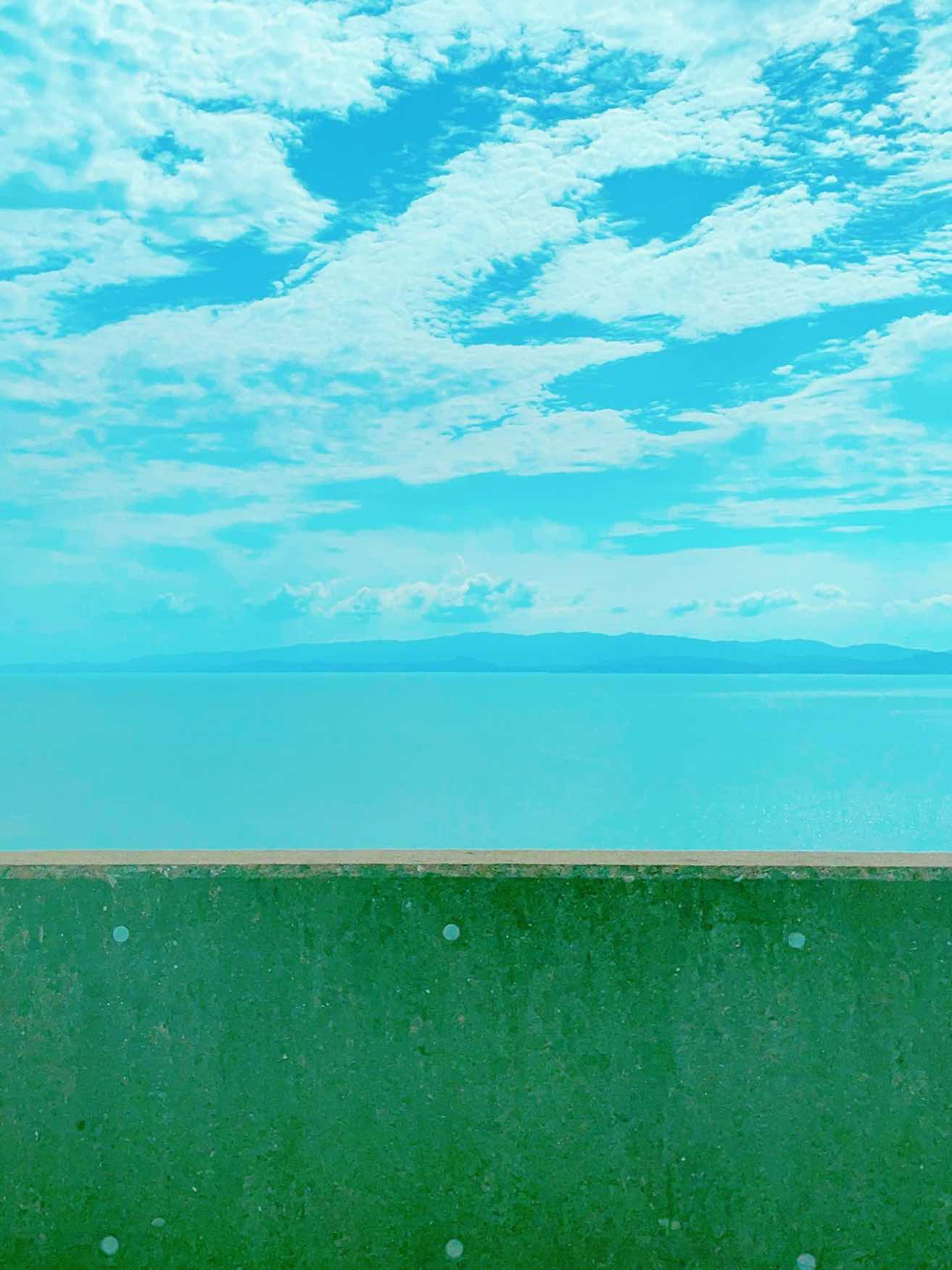 十六私の宣言文