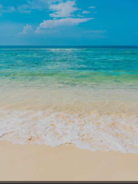 ただ一度の過ちで散った恋