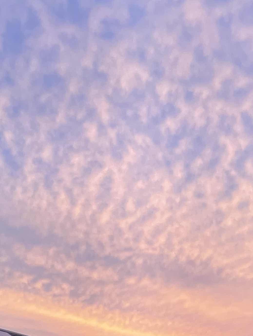 お題募集します♡