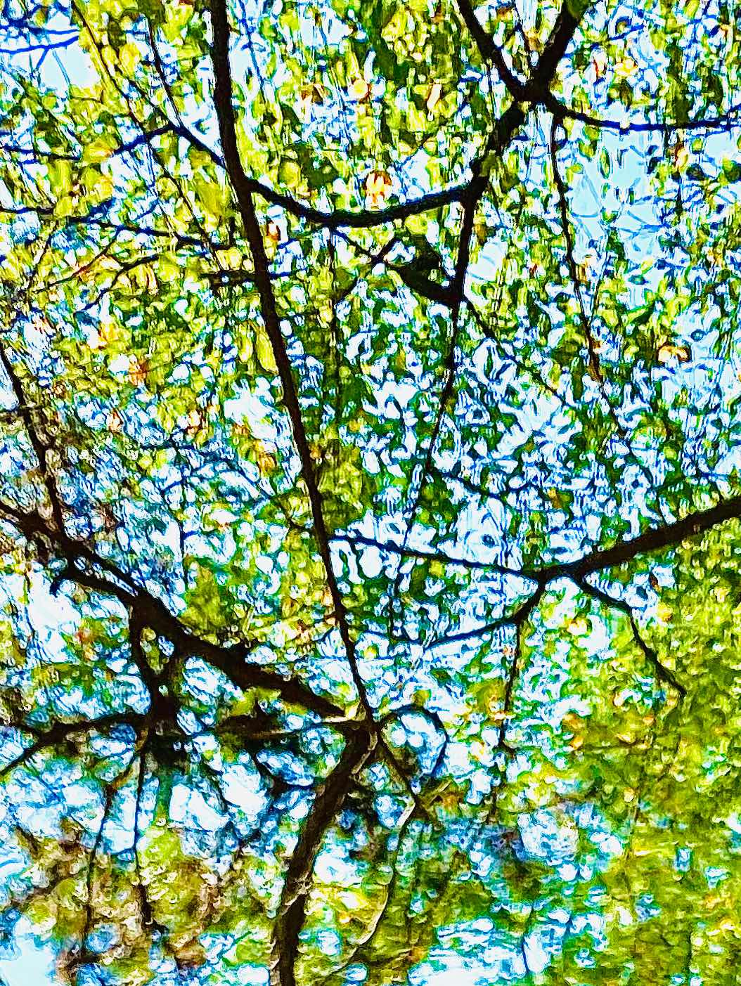 演目『いじめ』