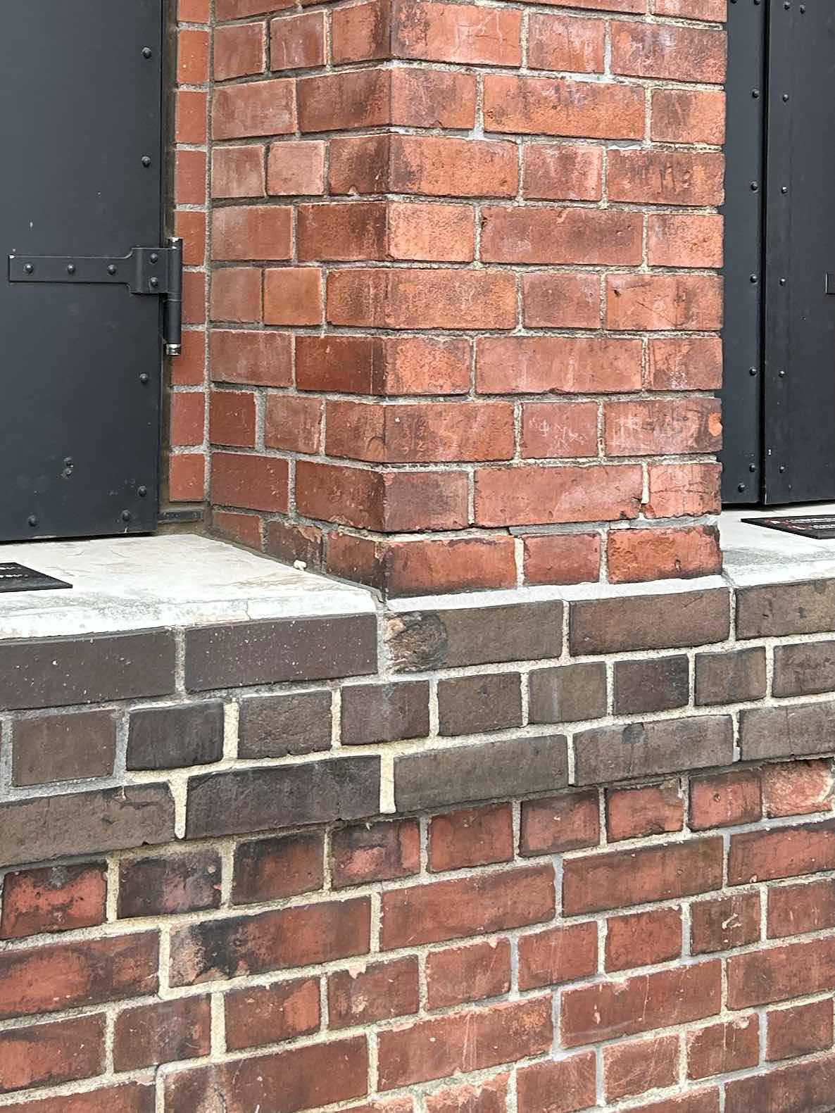 第1回NSS歴史上最低の王