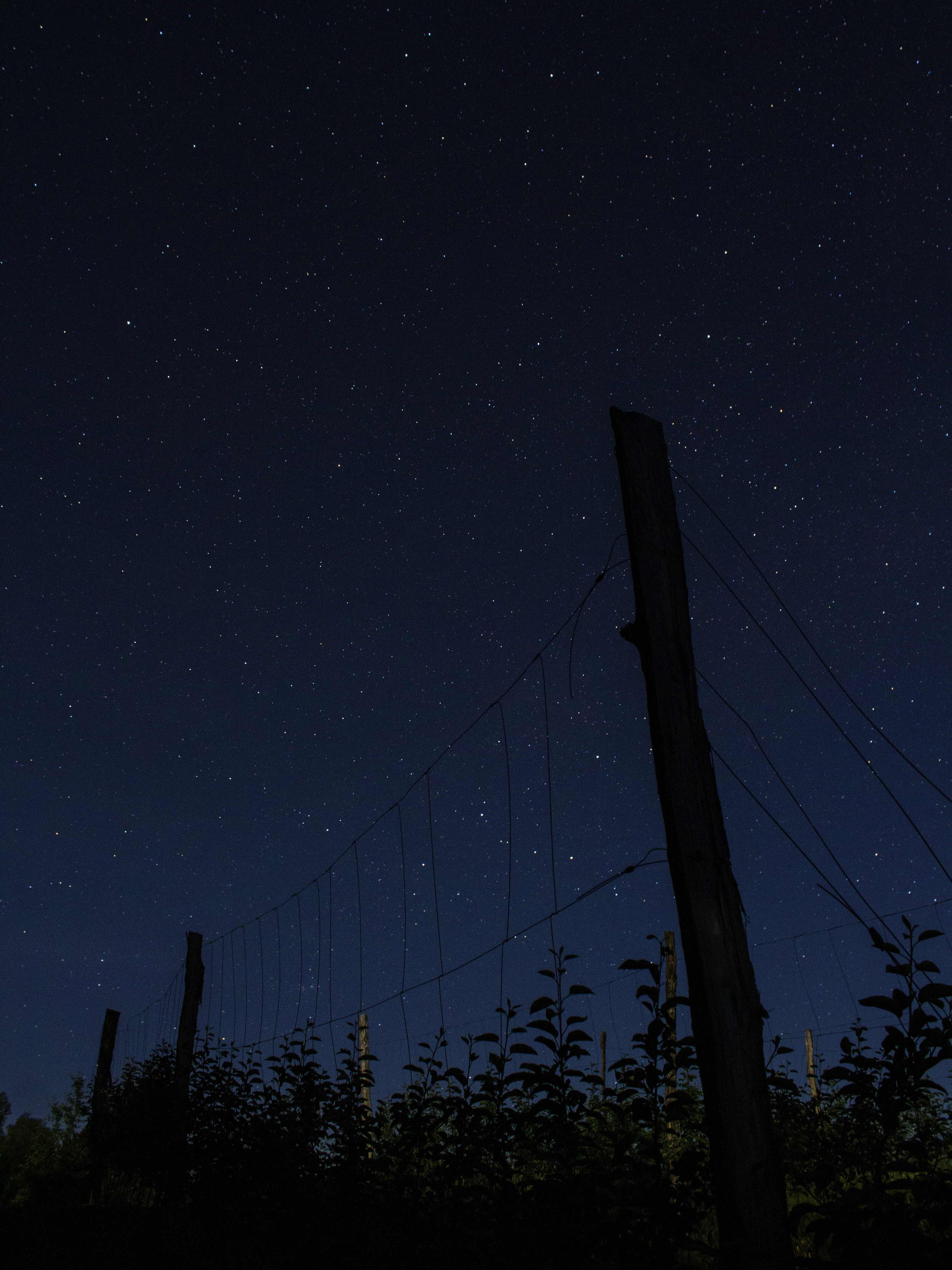 お人形さんの話-生について-