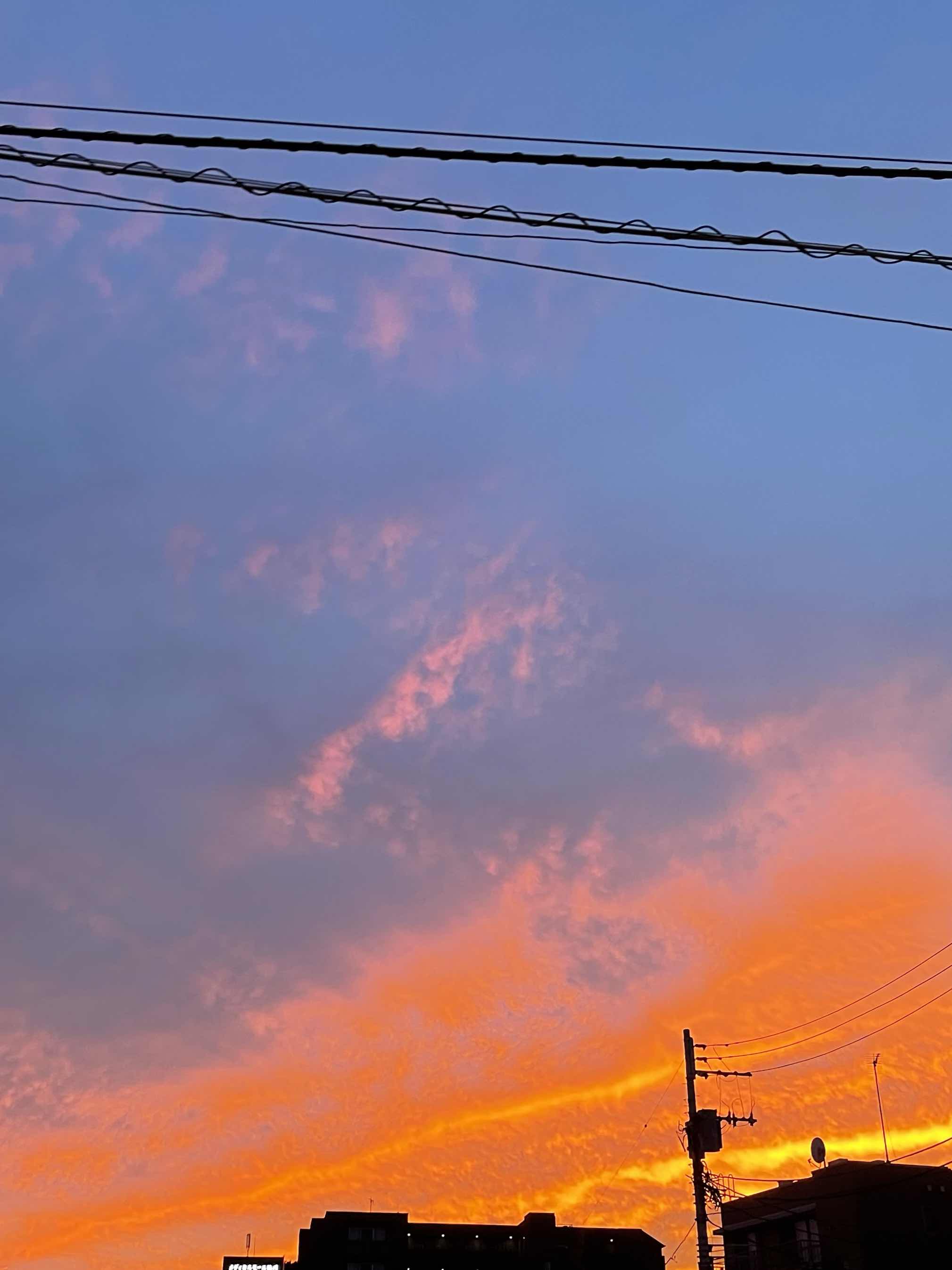 五縁がありまして。