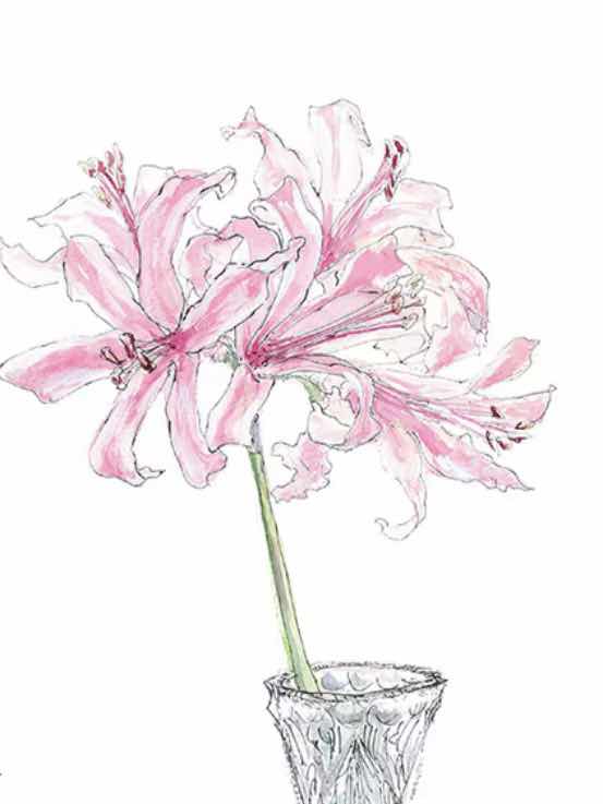 貴女が居ない日々