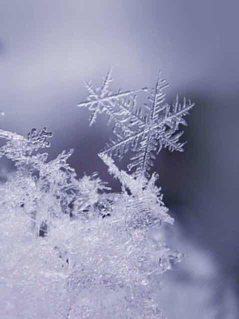 恋する季節-君がくれた冬-