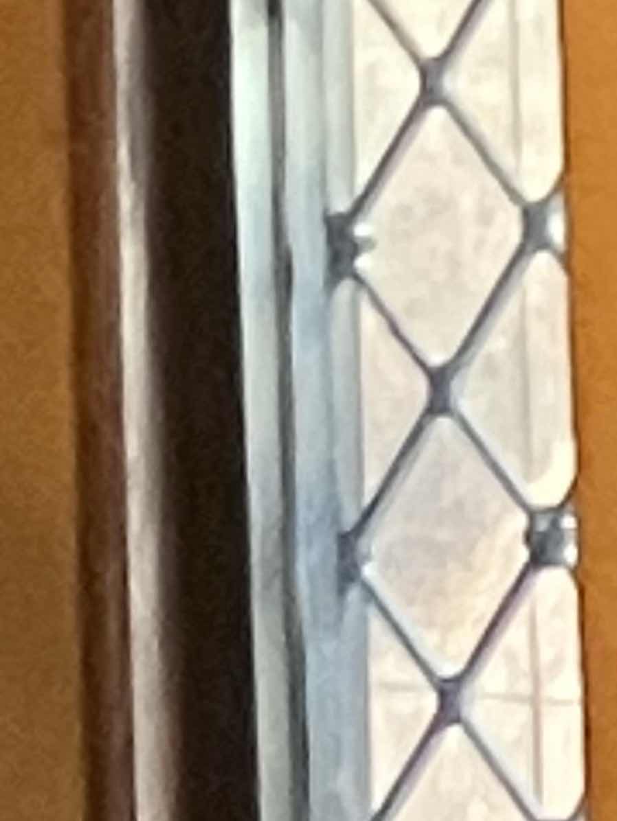 青いアネモネと夏の匂い