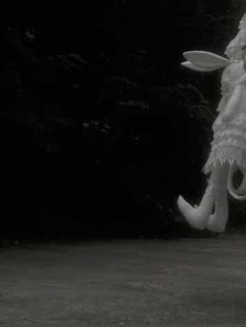 貴方のことが好きよ